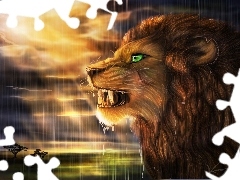 Rain, Art, west, sun, Lion