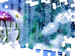 Rain, Flowers, Glass