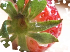 Strawberry, rapprochement