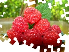 Raspberries