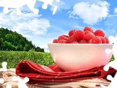 bowl, raspberries