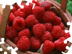 raspberry, basket, buxom