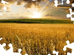 clouds, corn, rays of the Sun