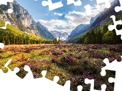 Krma Valley, Slovenia, Julian Alps Mountains, trees, rays of the Sun, heath, Flowers, heathers, viewes