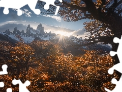 mount, Argentina, trees, Fitz Roy, Bush, clouds, rays of the Sun, Mountains, Patagonia, autumn, viewes