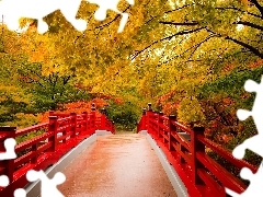 Red, bridge, trees, viewes, autumn