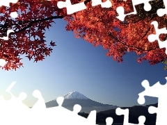 Mount, Japan, Red, Leaf, Fuji, mountains