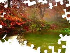 Red, Leaf, Green, water, River