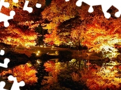 Floodlit, Pond - car, reflection, Park