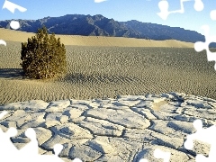 remote, Mountains, sapling, Sand, Stones