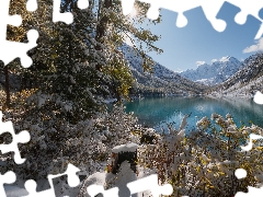 viewes, snow, Russia, Szawlinskie Lake, Altai Republic, trees, winter, Altai Mountains