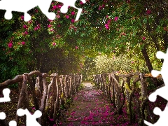 Path, Rhododendron, railing, fence, transition