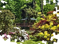 Park, color, Rhododendrons, arbour