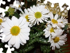 ribbon, White, daisy