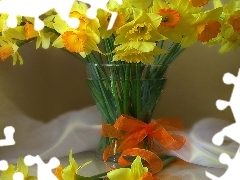 ribbon, bowl, narcissus