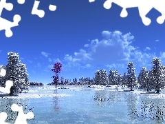 lake, viewes, rime, trees