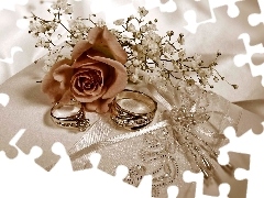rings, rose, adoption