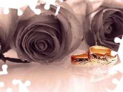rings, roses, Golden