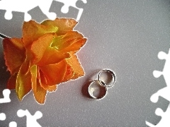 rings, Orange, rose