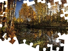 viewes, autumn, River, bridge, birch, trees