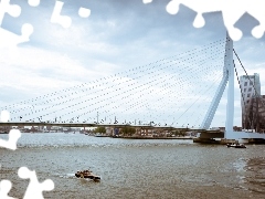 Erasmus Bridge, Netherlands, River, rotterdam