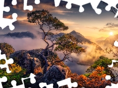 viewes, pine, Fog, rocks, Sunrise, trees, Mountains, River