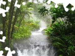 River, jungle, green