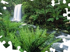 River, landscape, jungle