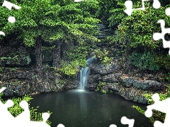 trees, rocks, National Park of the Blue Mountains, Plants, River, viewes, Australia