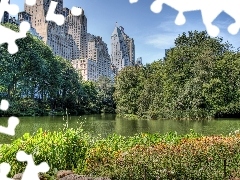 Central Park, skyscrapers, River, New York