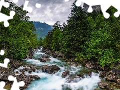 River, Mountains, woods, trees, Pyrenees, Spain, rocks, Stones, viewes