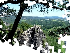 River, trees, rocks