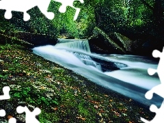 forest, waterfall, rocks, River