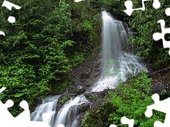 rocks, waterfall, forest