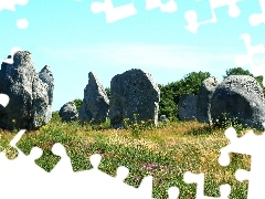 rocks, summer, Meadow