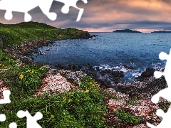 rocks, The Hills, Russia, Plants, Seaside, coast, Japanese Sea, Flowers