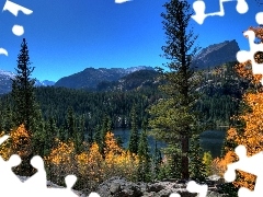 rocks, lake, Spruces