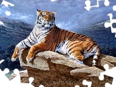 tiger, rocks
