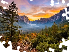 Fog, autumn, trees, California, viewes, Yosemite National Park, rocks, The United States, Mountains, Bush