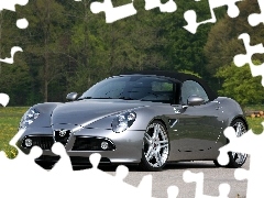 Way, viewes, Alfa Romeo 8c Spider, trees