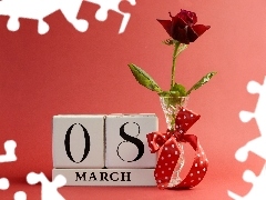 March 8, women, rose, day