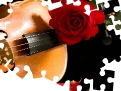 instrument, red hot, rose, musical