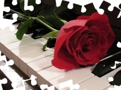 Piano, red hot, rose