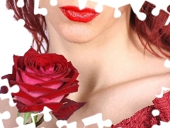Women, red hot, rose