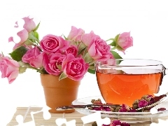 rose, roses, tea