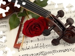 violin, Tunes, rose, bow