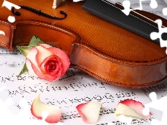 violin, Tunes, rose, Cards