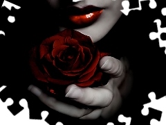 Women, red hot, rose, lips