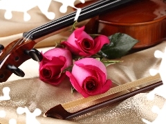 roses, violin, bow