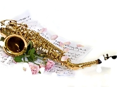 roses, saxophone, Tunes